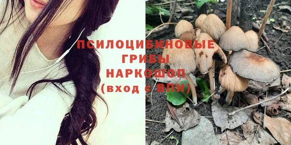 ПСИЛОЦИБИНОВЫЕ ГРИБЫ Алексин