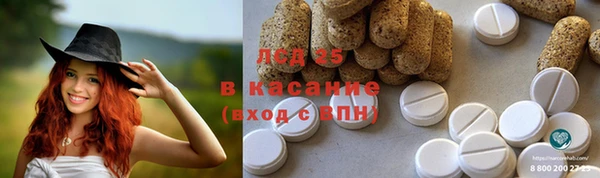 ПСИЛОЦИБИНОВЫЕ ГРИБЫ Алексин