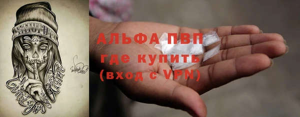 ПСИЛОЦИБИНОВЫЕ ГРИБЫ Алексин