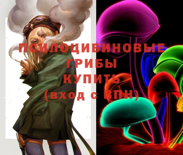 прущие грибы Алексеевка