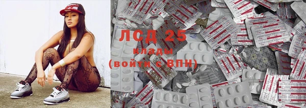 ПСИЛОЦИБИНОВЫЕ ГРИБЫ Алексин