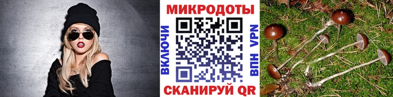 Галлюциногенные грибы Magic Shrooms  где купить   Новозыбков 
